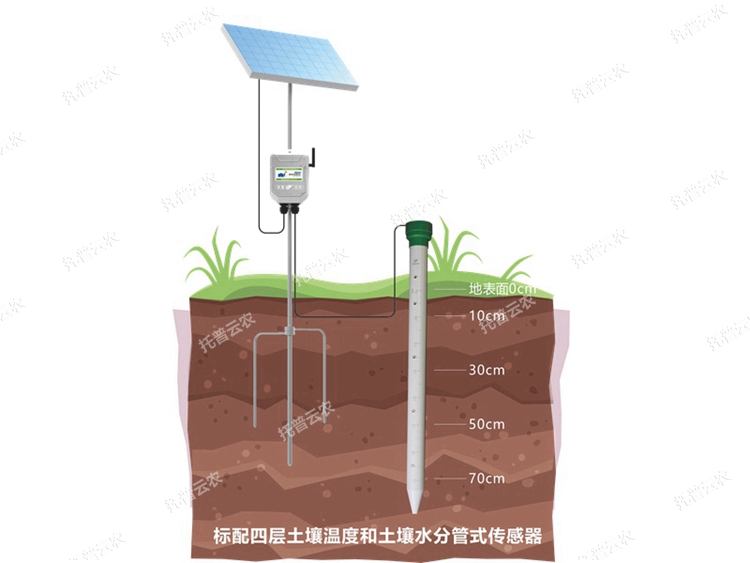 管式土壤剖面水分測定儀