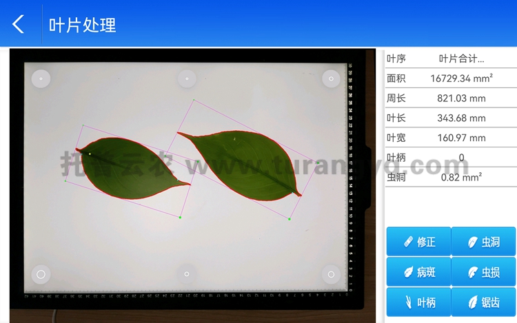 拍照式葉面積測量儀軟件界面圖